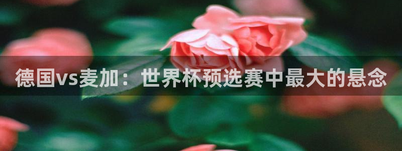 世界杯预选赛欧洲：德国vs麦加：世界杯预选赛中最大的悬念