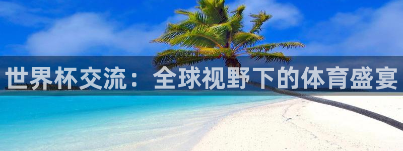 世界杯第一场比赛：世界杯交流：全球视野下的体育盛宴