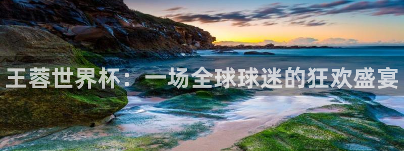 2026足球世界杯：王蓉世界杯：一场全球球迷的狂欢盛宴