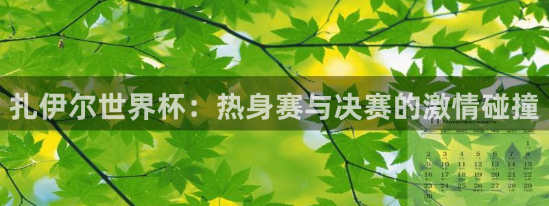 世界杯亚洲区预选赛：扎伊尔世界杯：热身赛与决赛的激情碰撞