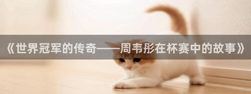 2026世界杯预选赛：《世界冠军的传奇——周韦彤在杯赛中的故事》