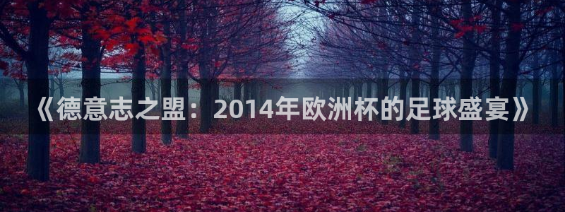 世界杯欧洲区预选赛：《德意志之盟：2014年欧洲杯的足球盛宴》