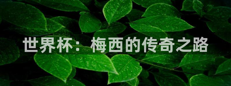世界杯：世界杯：梅西的传奇之路