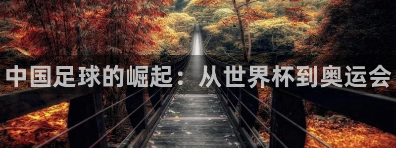 世界杯16强赛程表：中国足球的崛起：从世界杯到奥运会