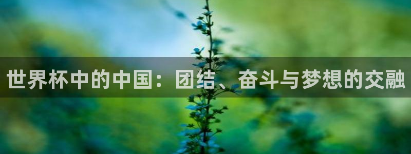 看世界杯：世界杯中的中国：团结、奋斗与梦想的交融