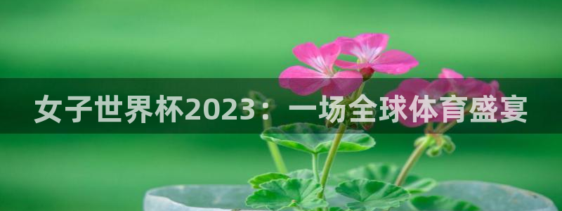 澳门世界杯直播：女子世界杯2023：一场全球体育盛宴