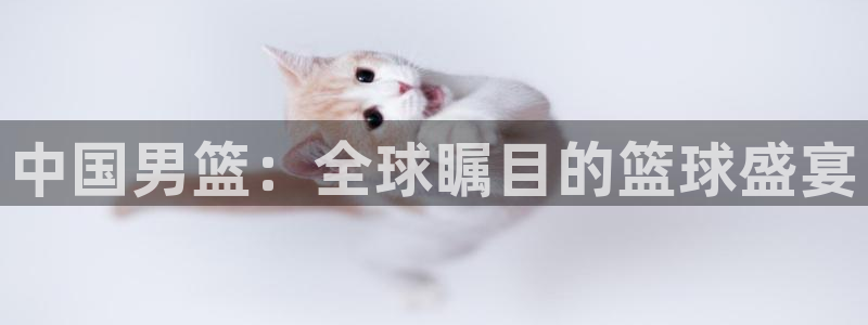 2026世界杯足球赛程时间表：中国男篮：全球瞩目的篮球盛宴