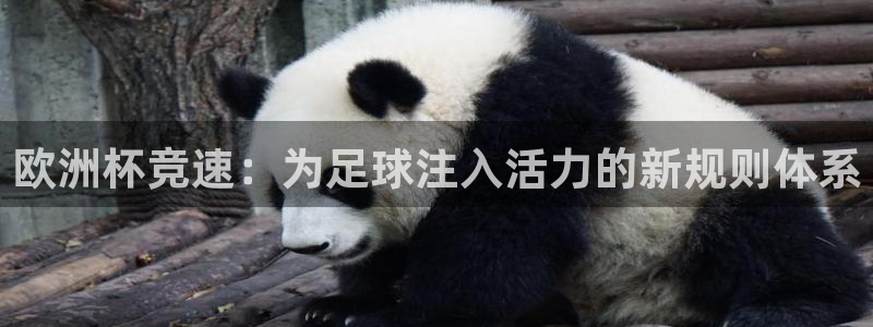 世界杯预选赛欧洲：欧洲杯竞速：为足球注入活力的新规则体系