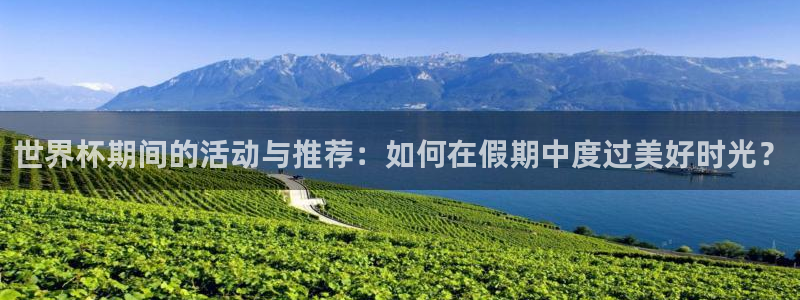 世界杯系列赛：世界杯期间的活动与推荐：如何在假期中度过美好时光？